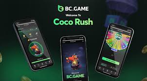 Exploring BC.Game Casino and Sportsbook The Ultimate Gaming Experience