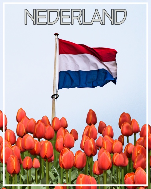 Kookworkshops en Culinaire Events in Apeldoorn - Een Smakelijke Ervaring