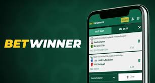 BetWinner vs BC.Game A Comprehensive Comparison