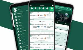 Comprehensive Overview of BetWinner Features, Benefits, and More