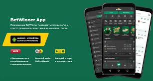 Guide to BetWinner Withdrawals Your Complete Overview Guide to BetWinner Withdrawals Your Complete Overview