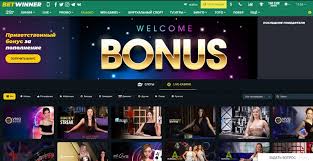 Your Guide to BetWinner Brazil Login